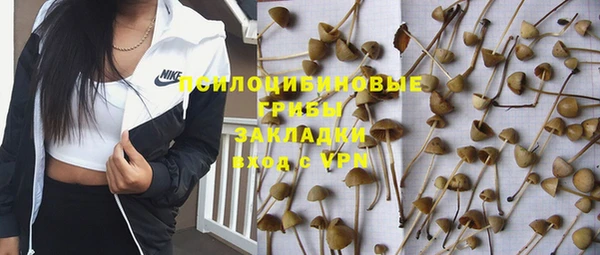 сатива Алексеевка