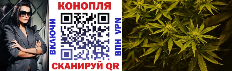 цены   Пугачёв  Канабис индика 